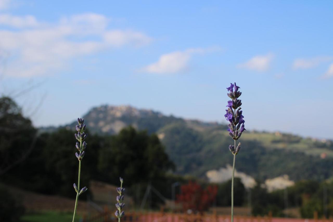 Casale Fontanile Bed And Breakfast Smerillo Exterior photo